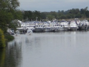 2011boatrally10
