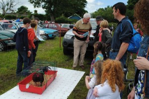 2012familyday030
