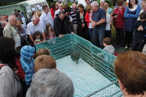 2012familyday076